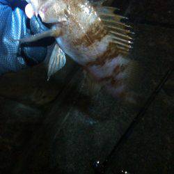 風が吹いたり止んだり